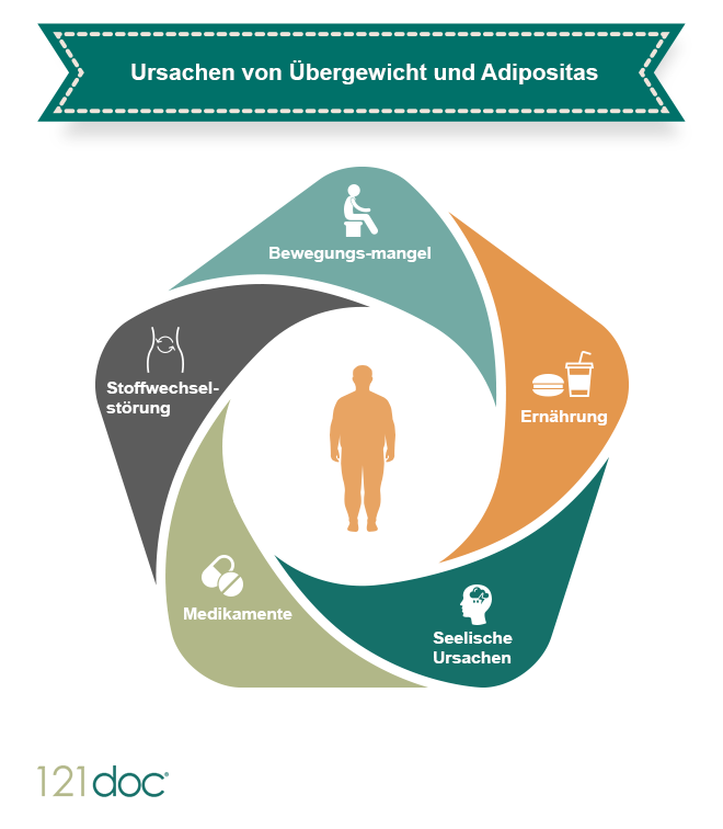 Fettleibigkeit Adipositas Fakten Ursachen Behandlung