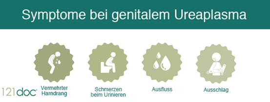Ureaplasma Urealyticum Behandeln Oder Nicht www.121doc.com