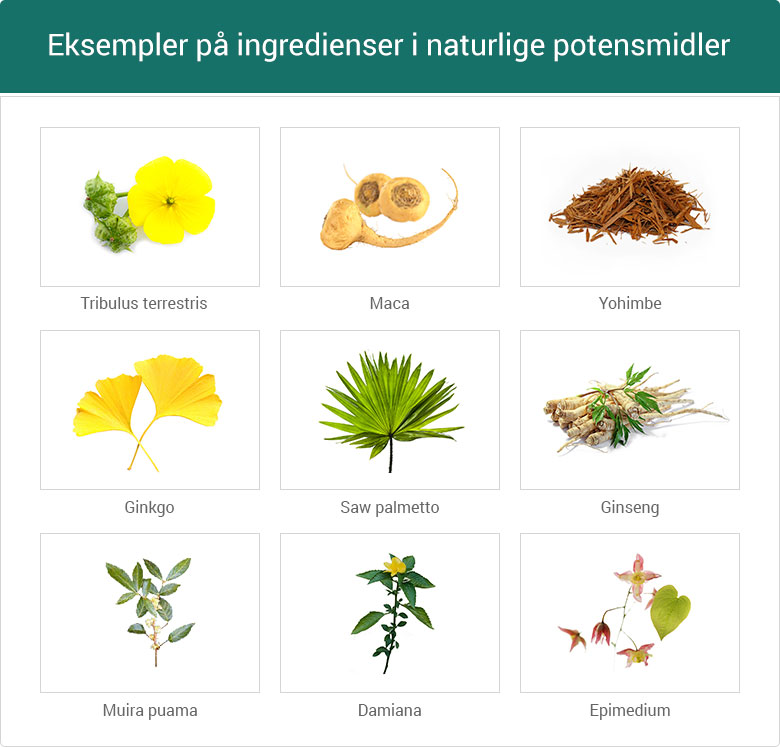 Eksempler på ingredienser i naturlige potensmidler