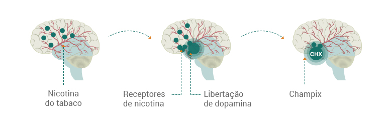 O efeito do Champix no cérebro