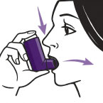 how-to-use3