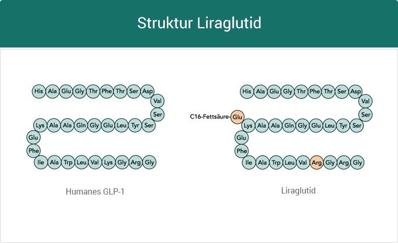 Strukturformel Liraglutid