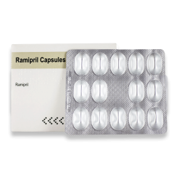 勃起器官の意味